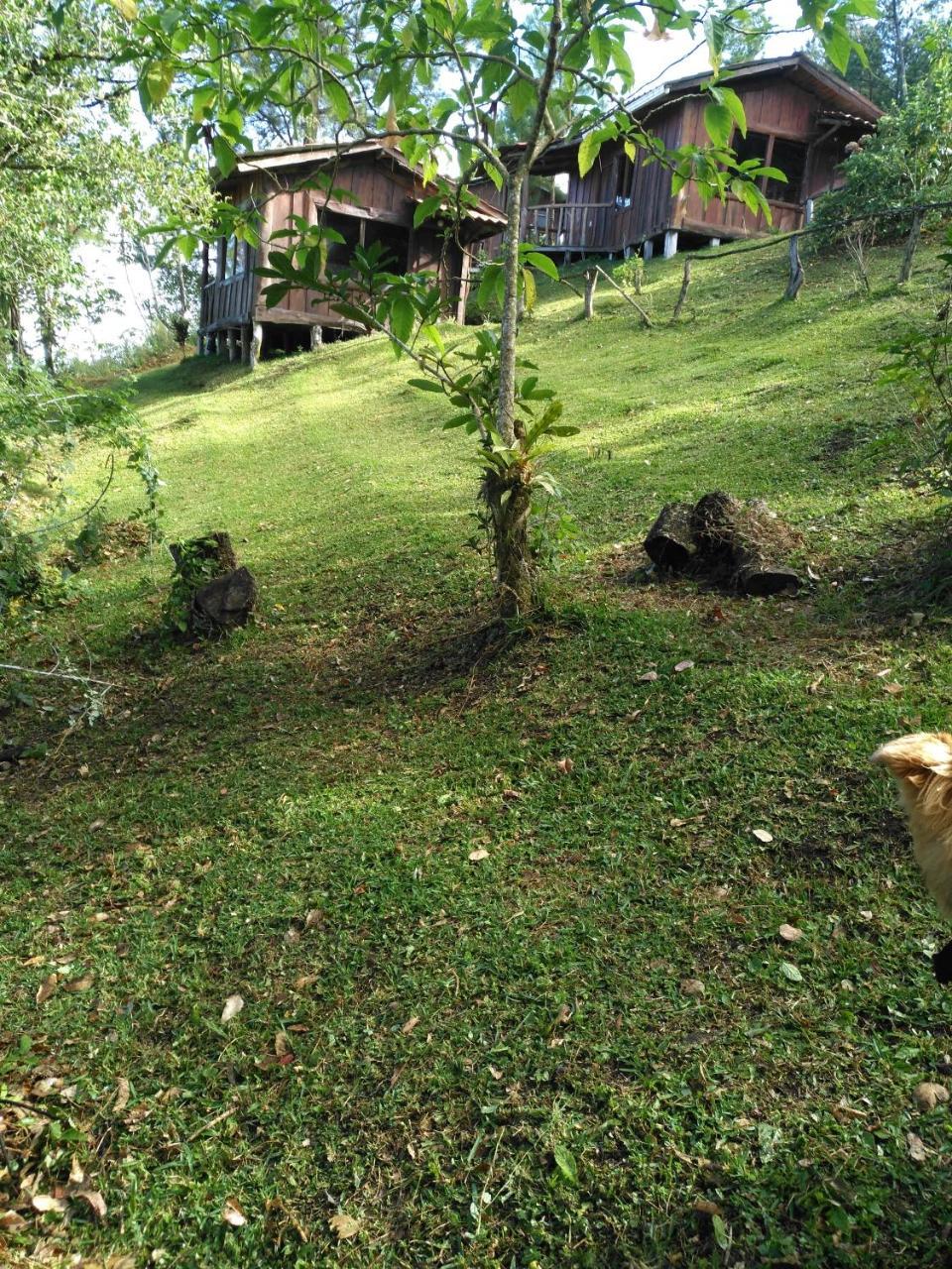 Cabanas Don Camilo Albergue De Montana Cabecera de Canas Extérieur photo