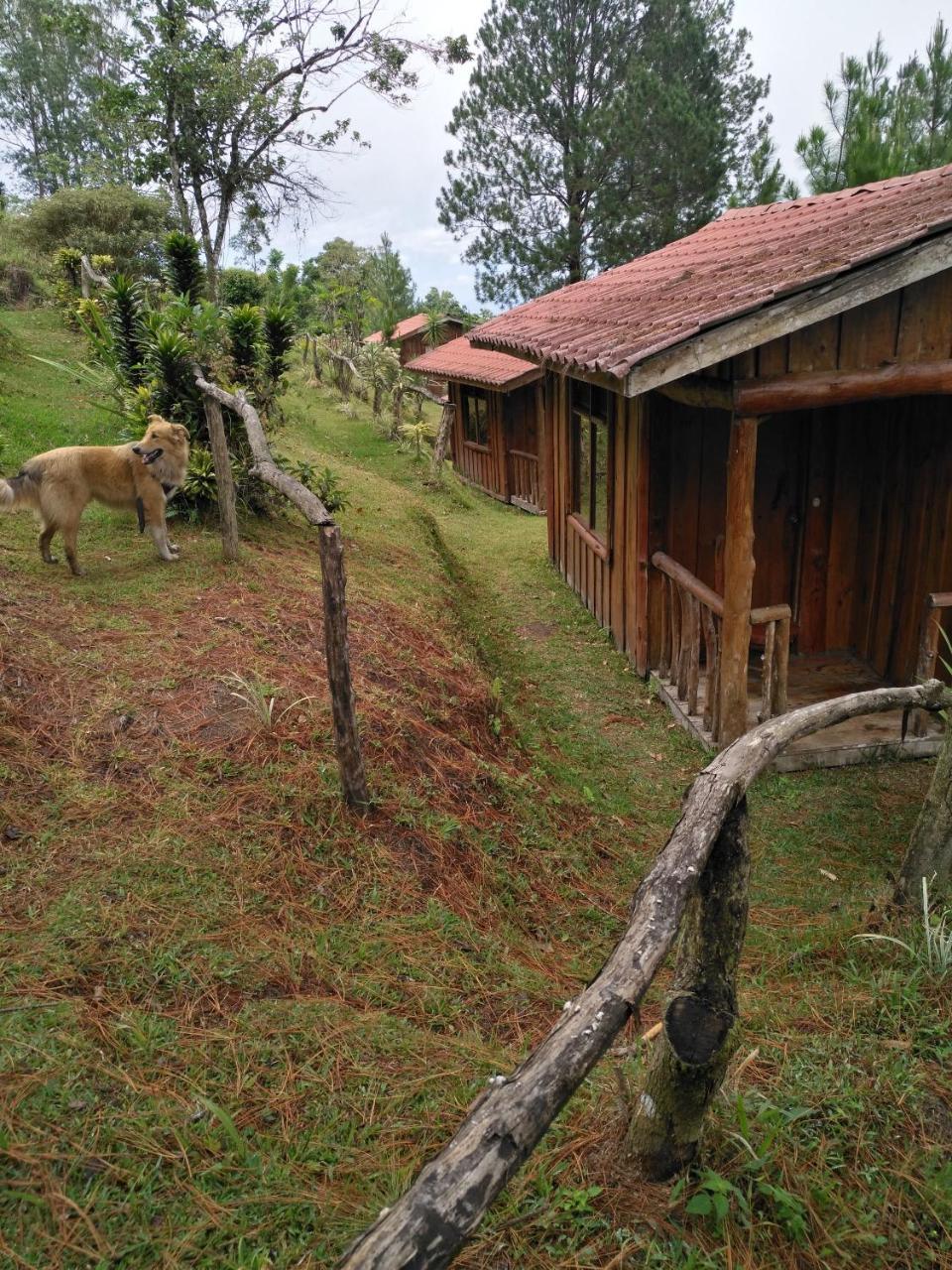 Cabanas Don Camilo Albergue De Montana Cabecera de Canas Extérieur photo